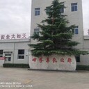 陜西秦龍乳業(yè)配方奶粉成人乳酸菌奶粉代加工