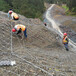防落石护坡网-道路落石防护网-边坡护坡拦石网厂