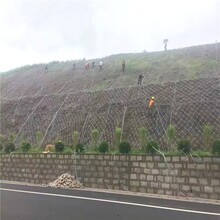 路基邊坡防護(hù)網(wǎng)-山區(qū)防洪抗災(zāi)護(hù)坡主動(dòng)防護(hù)網(wǎng)批發(fā)廠家圖片