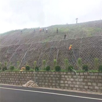 广西边坡挂网绿化山坡复绿工程护坡绿化挂网
