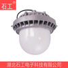 LED平台灯NFC9189,220V30W40W50WNFC9189工厂用泛光灯