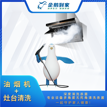惠城油煙機(jī)清洗惠州家電清洗設(shè)備清洗惠州全屋清洗