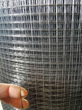 鍍鋅焊接鐵絲抹灰掛網