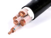 青岛天行电缆阻燃电缆和耐火电缆的区别