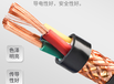青島天行儀表電纜計算機電纜工廠定制DJYPVP