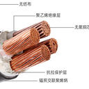 青島天行低煙無鹵輻照交聯(lián)阻燃電纜WDZ-YJ(F)Y