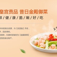 武漢洪山菜苔和普通菜苔的區(qū)別洪山菜苔基地種植圖片