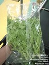 厂家现货2.0丝热封膜BOPP包装膜用于水果蔬菜包装