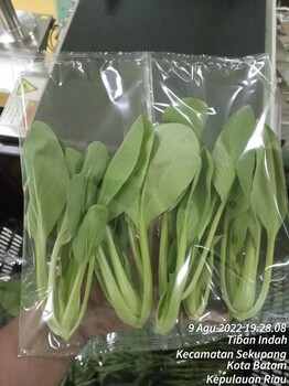 工廠定制BOPP亮膜印刷膜