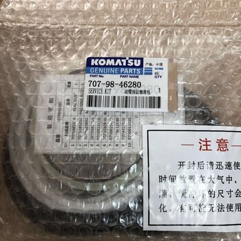 小松挖掘機(jī)pc300-8動臂油缸修理包707-99-59630