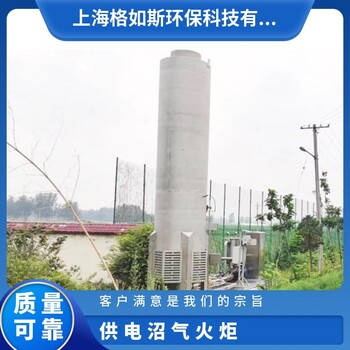封閉式內(nèi)燃式應(yīng)急沼氣火炬可按需定制品質(zhì)可靠