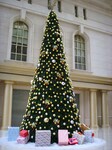 巨亿文化商用大型圣诞树美陈装饰