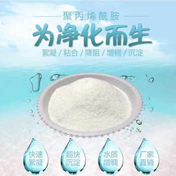 聚丙烯酰胺污水處理藥劑
