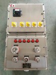 BXMD液氨泵防爆动力配电箱