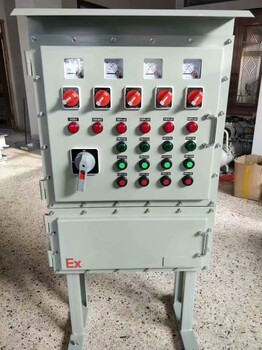 BXK52防爆電氣控制柜《電梯用防爆柜》