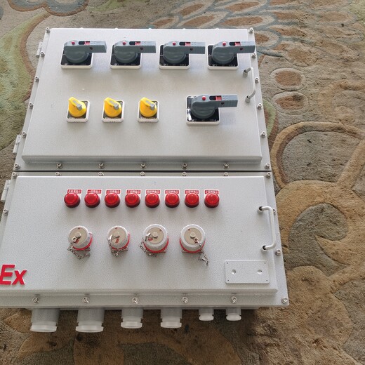 BXKBXX51化工厂用防爆动力检修箱