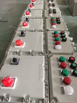 非標(biāo)定制防爆配電箱防爆操作柱防爆空箱防爆模塊箱