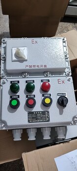 BXK防爆控制按钮箱BXK防爆控制箱