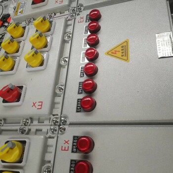 BXK防爆控制箱304不銹鋼防爆箱