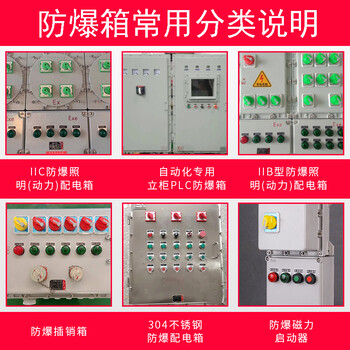 温州户外防雨防爆照明配电箱，温州防雨型防爆配电箱，防爆配电箱