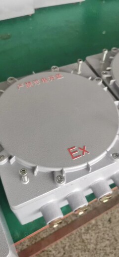 生产厂家BXX69-4/K63防爆动力维修箱/防爆电源插座箱金防电器