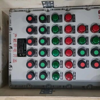 金防電器消防泡沫站防爆雙電源開關(guān)箱（IIB,IIC）BXK-DIP生產(chǎn)廠家