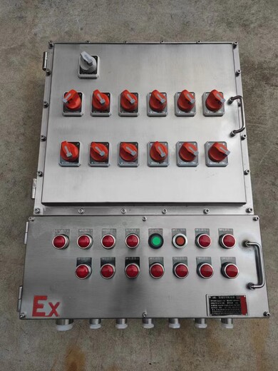 金防电器12路带总开防爆照明动力配电箱BXMD-非标定做