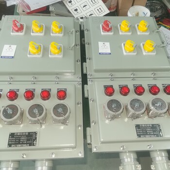 金防電器BXX52明裝掛式防爆檢修電源箱來(lái)圖定做