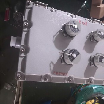 BJX-20/24增安型防爆分線箱