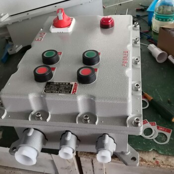 金防電器防水防塵防腐按鈕箱BXK8061來(lái)圖定做