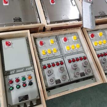 金防電器防水防塵防腐按鈕箱BXK8061非標(biāo)定做