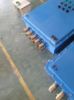 金防電器防水防塵防腐按鈕箱BXK8061非標(biāo)定做