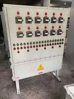 BXX51-T防爆插座檢修配電箱