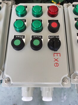 BZC-A2D2K1L循環(huán)水泵防爆操作柱