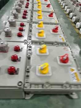 BXMD-C系列防爆動(dòng)力配電箱檢修電源插座箱