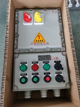 BXM51-T9/40/K125甲醇廠防爆照明開關(guān)箱掛式