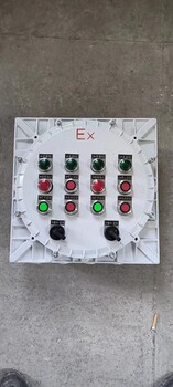 BXMD-12K回路帶總開關防爆配電箱
