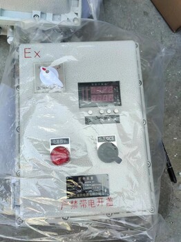 機(jī)旁防爆控制箱防爆電機(jī)啟停控制箱