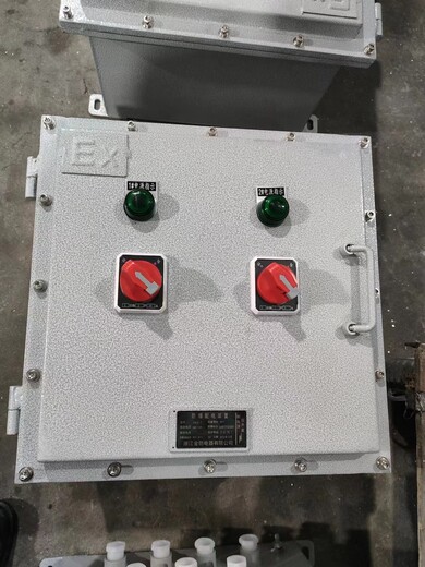 防爆照明配电箱BXX防爆插座箱不锈钢非标定做