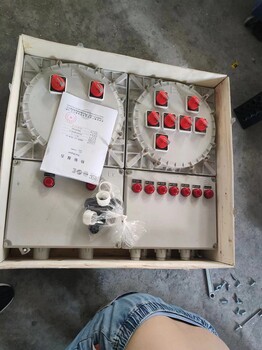 BXM51-5/16/K40隔爆型防爆开关配电箱v