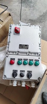 BXD51-12防爆配電箱
