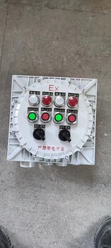 一備一用防爆動力配電箱