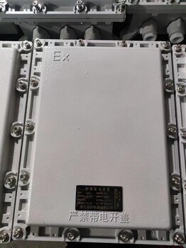 BXM-3/K防爆起動(dòng)箱