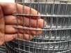 镀锌电焊网批荡挂网防鼠网实体工厂工艺电焊网
