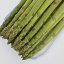 常年供應(yīng)鑫航育2號蘆筍種子
