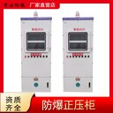 南陽首安防爆正壓柜通風(fēng)柜