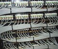 西峽高清智能監控kj95x煤礦安全監控系統太陽能路燈控制器