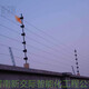 河南新交际电子围栏系统70