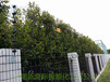 郑州电子围栏效果电子围栏价钱安装销售公司