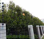 郑州企业单位周界报警系统高压脉冲电子围栏安装销售公司